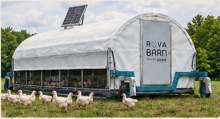 A mobile ROVA Barn on pasture with chickens